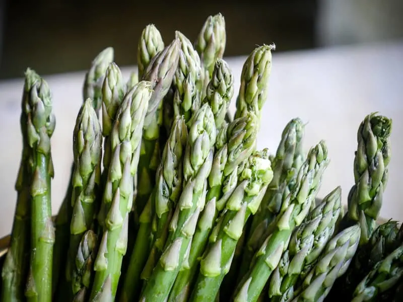 Close up of asparagus tips.