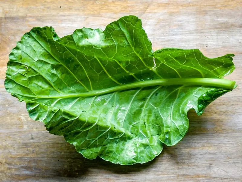 Collard leaf