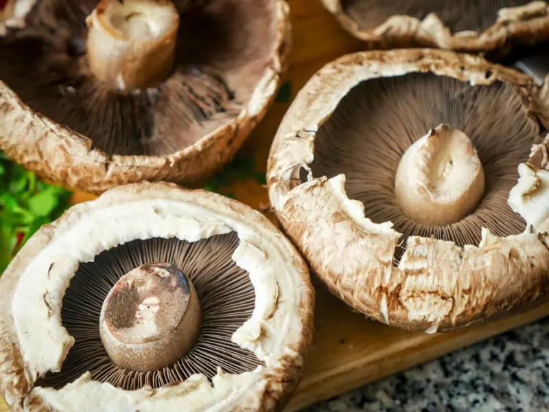 portabello mushrooms