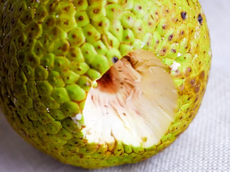 Image of a raw breadfruit with the stem removed.