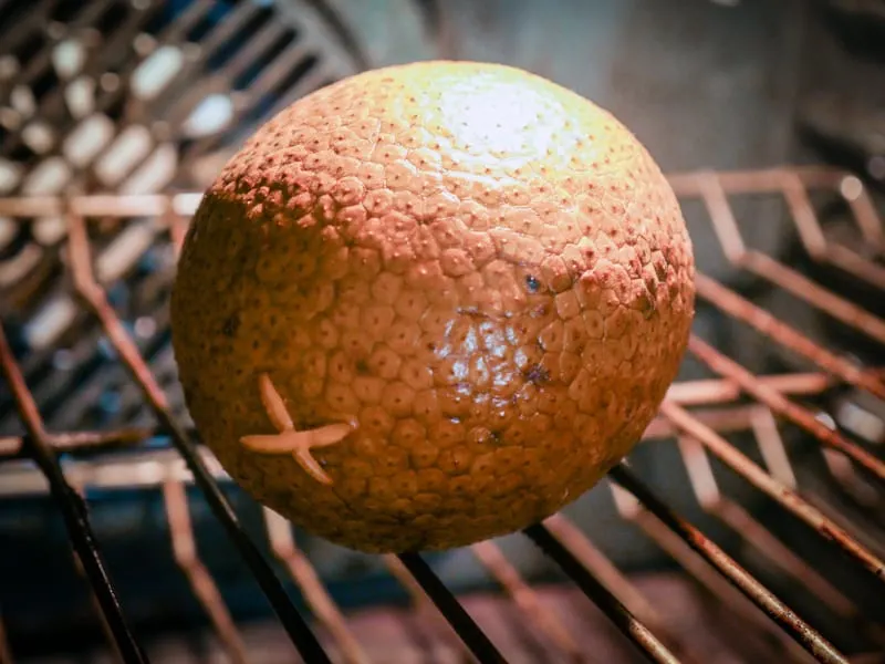 A breadfruit roasting on the rack of an oven.