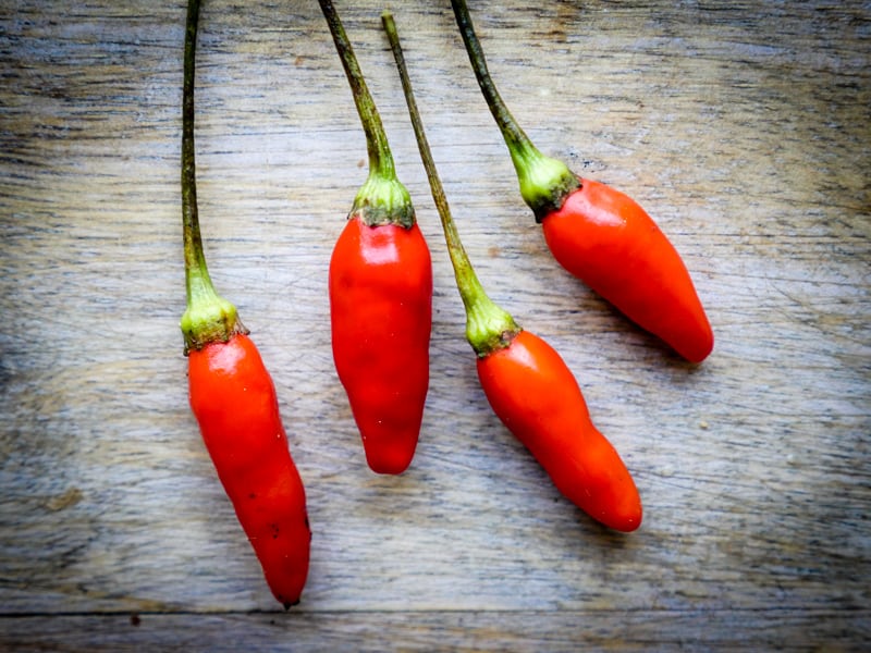 Tabasco Peppers