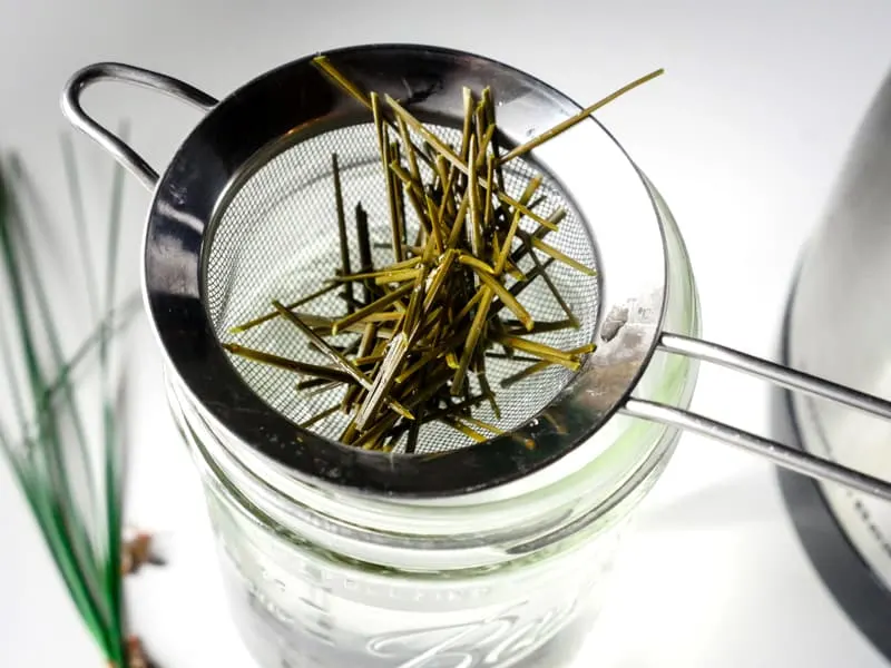 Straining pine needle tea