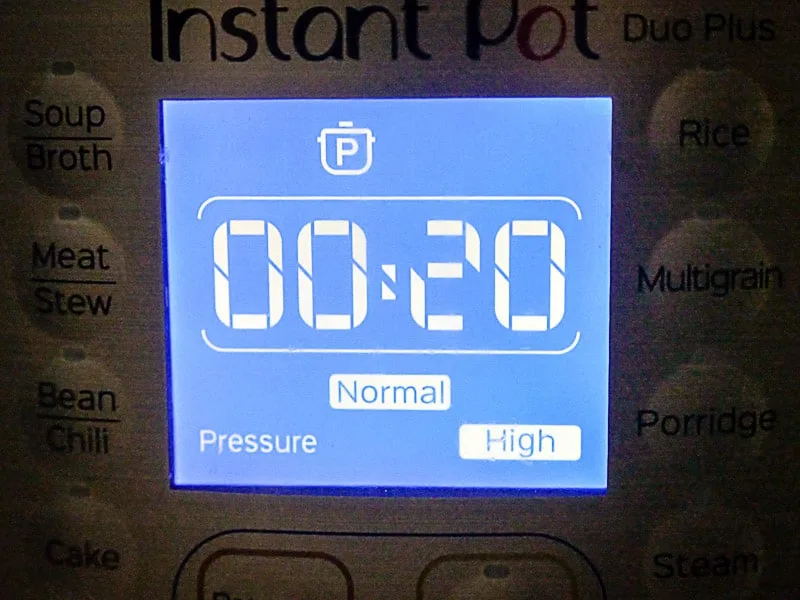 Close up of a timer displaying 20 minutes.