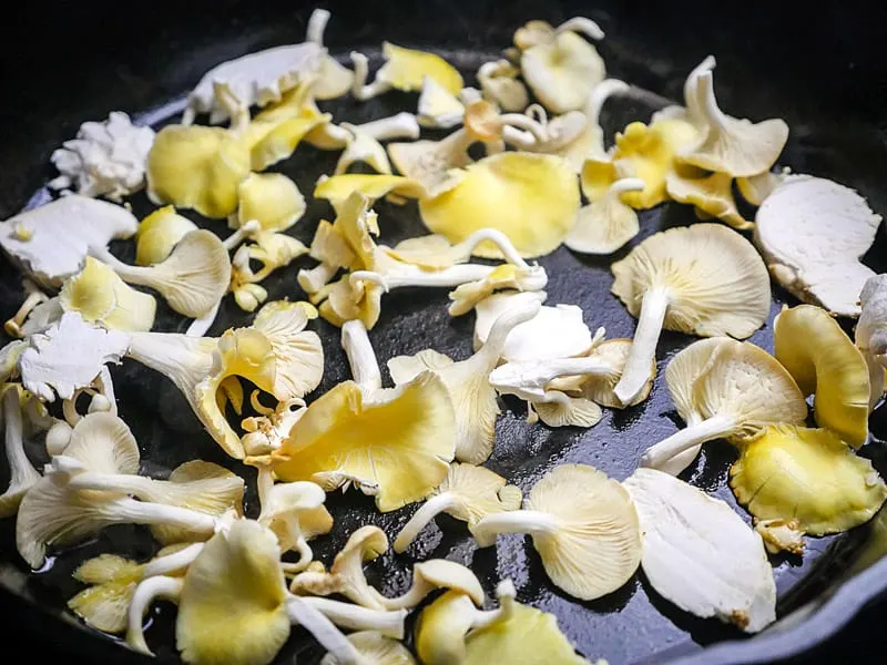 Picture of fresh oyster mushrooms in a cast iron skillet