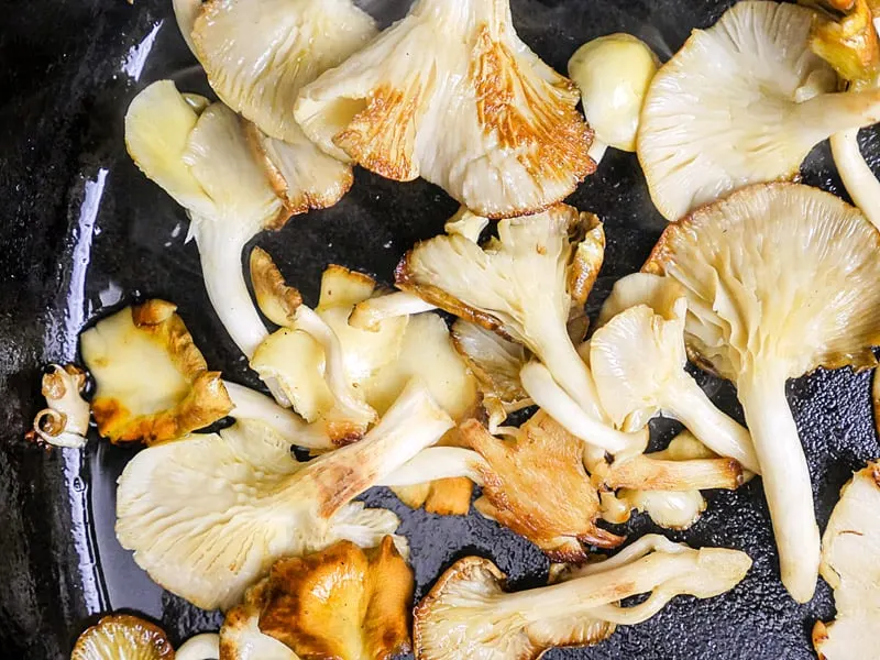 Close up of browned oyster mushrooms