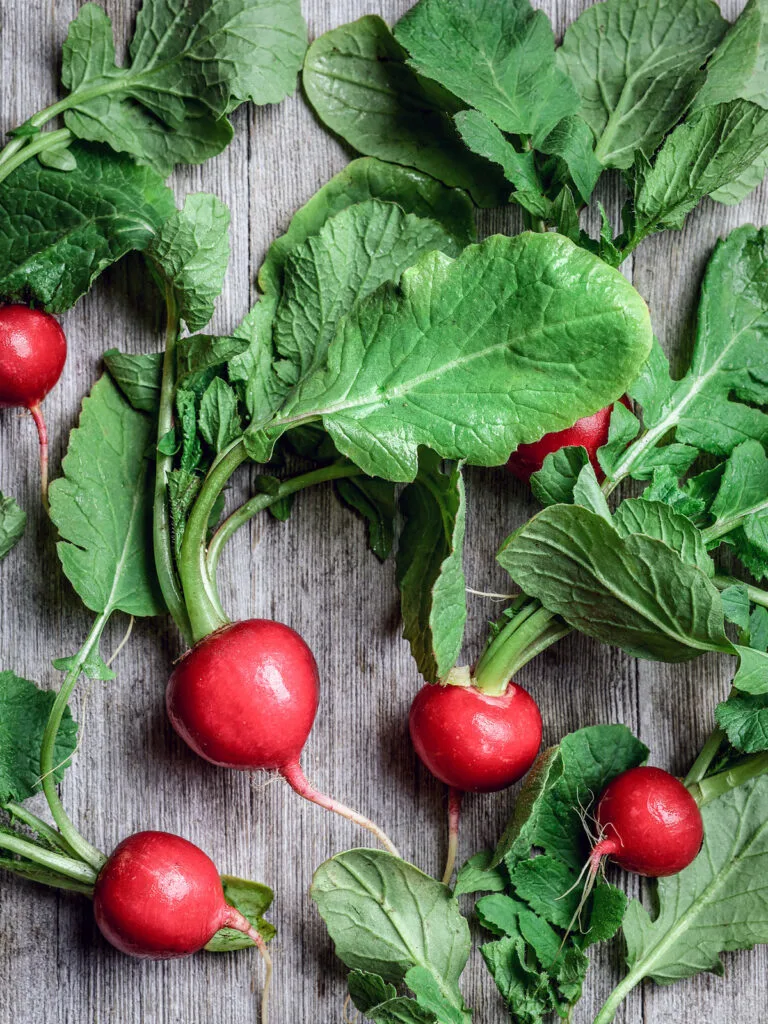 How Eat Radish - The Caveman