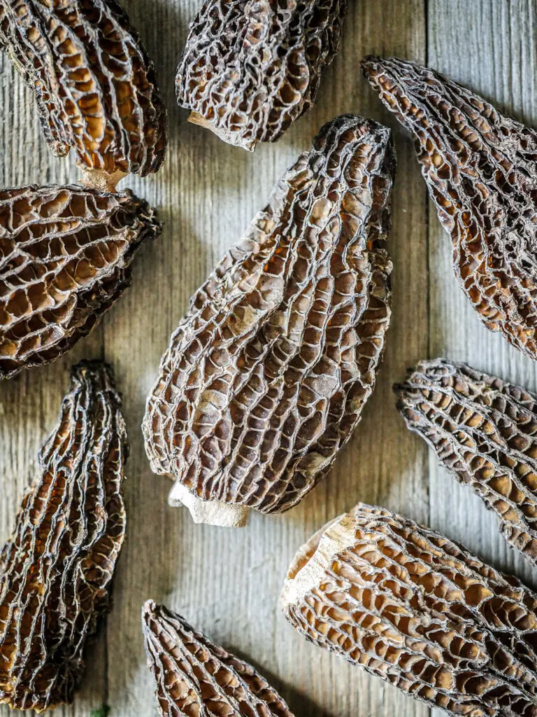 Close up of dried morel mushrooms.
